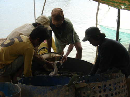 tái cơ cấu ngành thủy sản