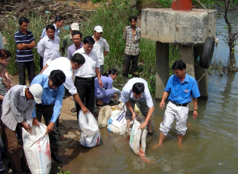 Phóng sinh tái tạo môi trường