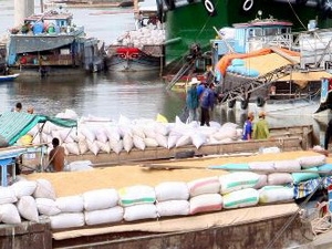 tạm trữ lúa gạo