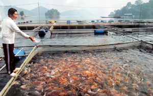 tan dung nuoc mat nuoi thuy san