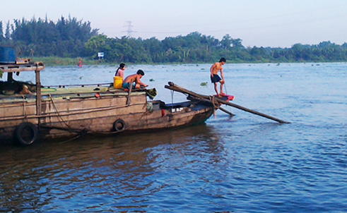 tận diệt thủy sản
