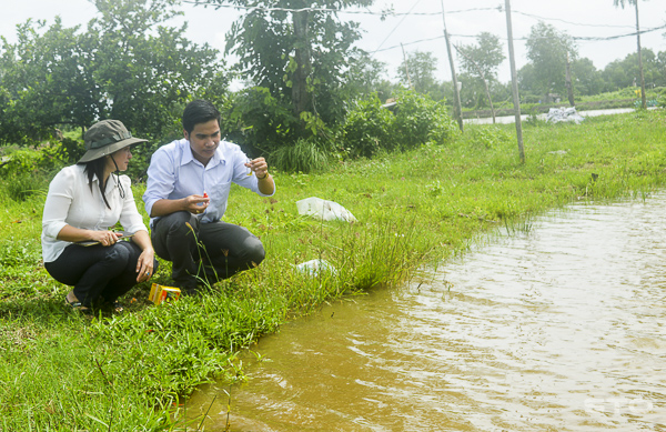 nuôi tôm, quản lý chất lượng nước trong nuôi tôm