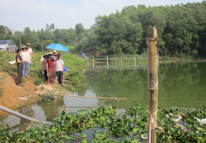 tập huấn tiếp cận