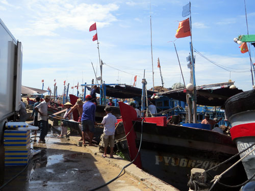 tàu bè nhộn nhịp