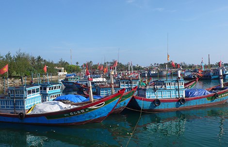 tàu cá Lý Sơn