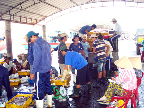 Tàu cặp Cảng cá Bình Đại.