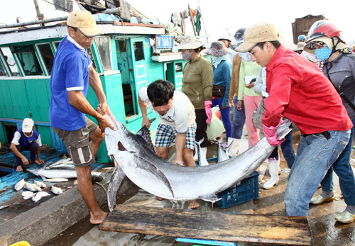 tàu cá Cửa Việt