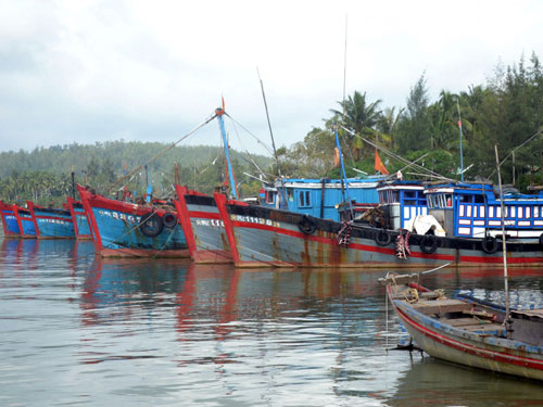 tàu cá nằm bờ