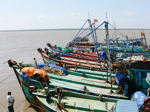 Tàu về neo đậu ngày càng đông tại cảng cá Ba Tri.