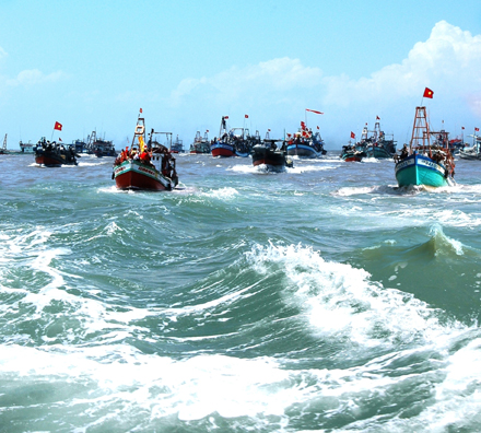 tàu đánh bắt bạc liêu