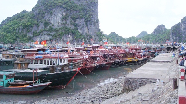 tàu thuyền neo đậu