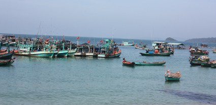 Thường xuyên tuyên truyền cho người dân không vào khu bảo tồn biển đánh bắt hải sản.