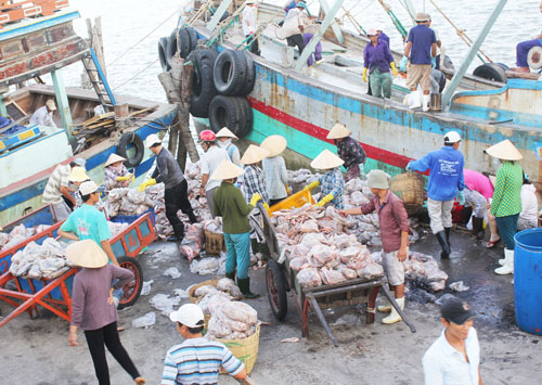 tàu về bến