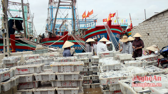 tàu về cảng nhộn nhịp