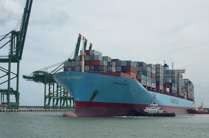 Toàn bộ hàng hóa vận chuyển từ Việt Nam đi châu Âu và Mỹ hiện đều do các hãng tàu nước ngoài đảm nhiệm. Trong ảnh: Tàu trọng tải lớn của hãng Maersk cập cảng Bà Rịa - Vũng Tàu.