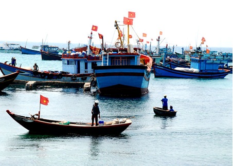 hỗ trợ xăng dầu