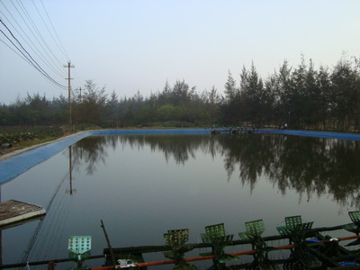 Ao nuôi tôm trên cát (Ảnh: Internet)