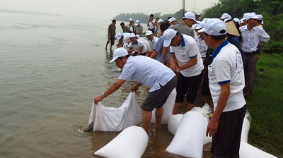 Thả cá giống ởBa Vì