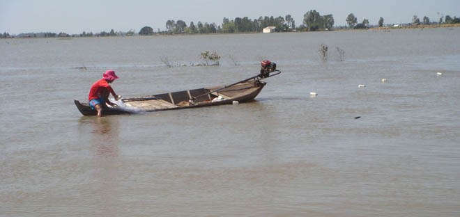 thả lưới bắt cá