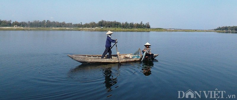 thả lưới bắt cá