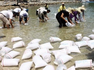 thả tôm cá giống