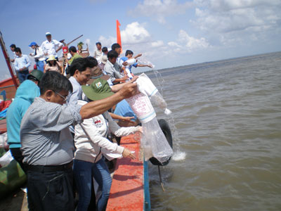 thả tôm,Trà vinh