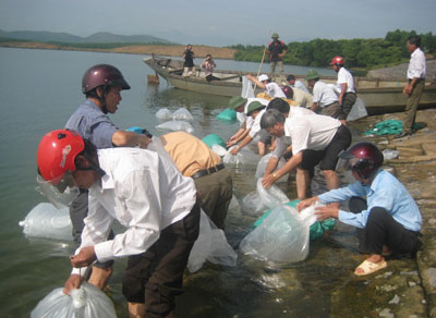 Thả cá giống về hồ chứa nước An Mã.