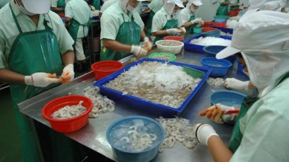 tôm thẻ chân trắng