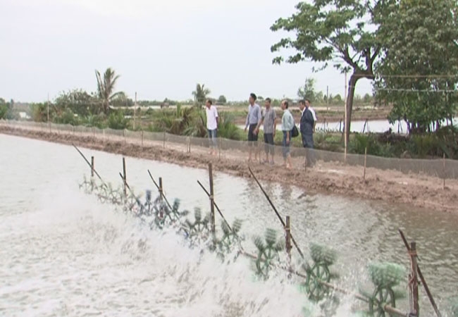 tham quan mô hình VietGAP