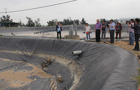 thanh tra dọc biển