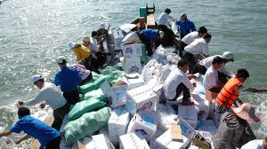 Bạc Liêu: Thả hơn 4,7 triệu con tôm ra biển