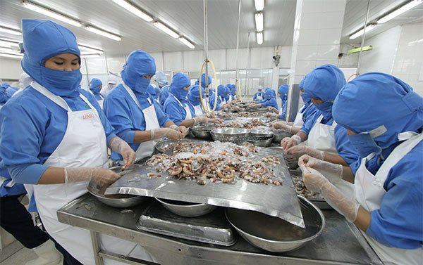 thị trường tôm Việt