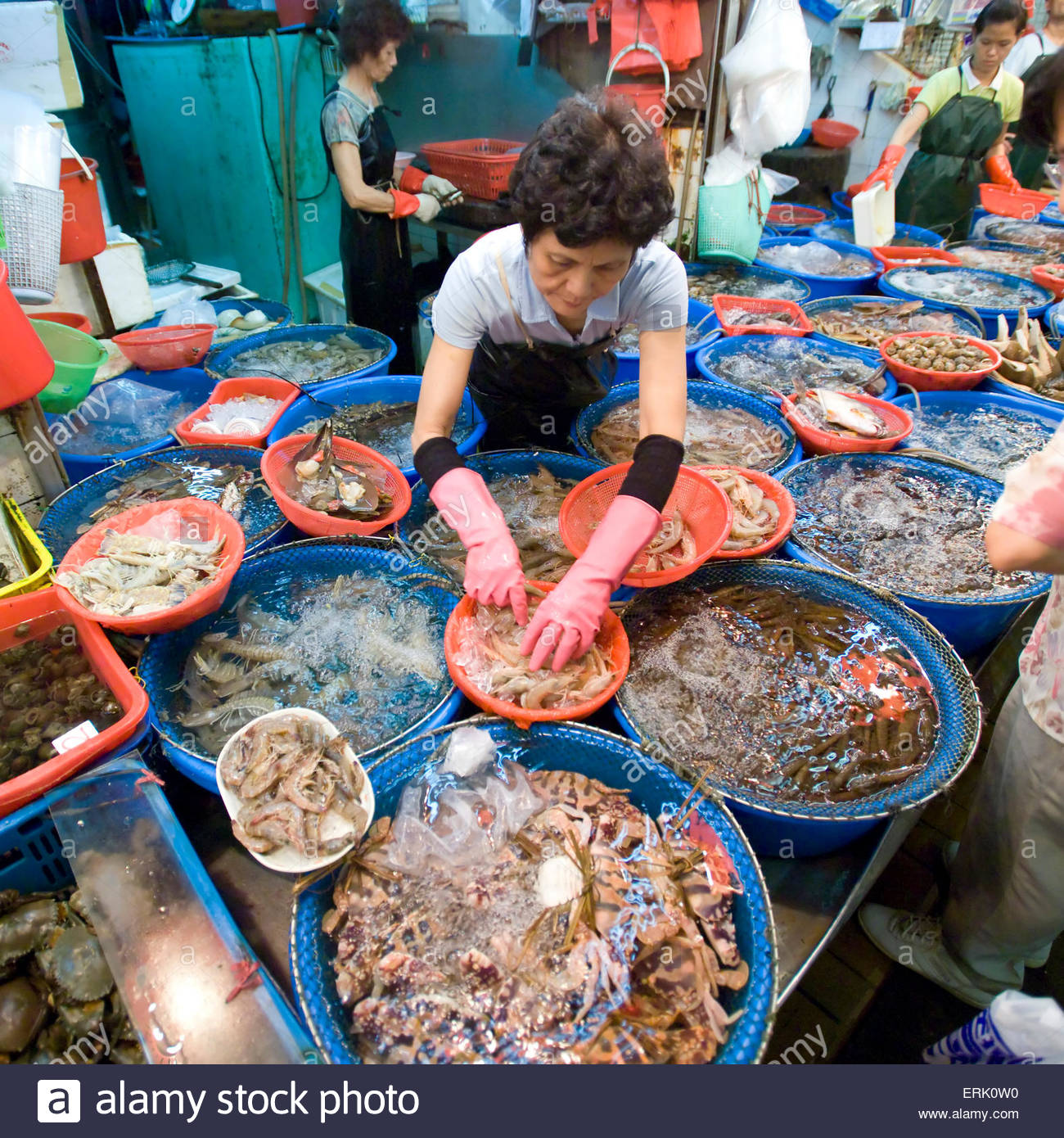 Nghiên cứu thị trường Trung Quốc, tránh rủi ro cho nông dân