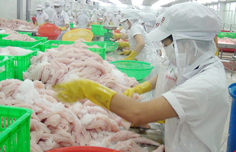 thieu nguyen lieu ca tra