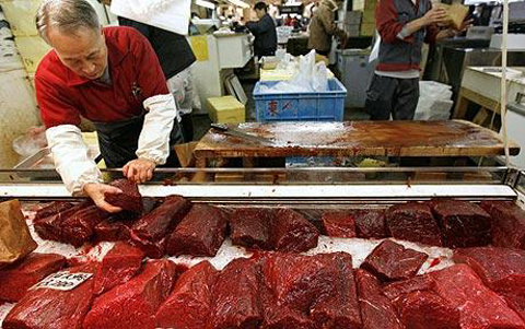 Thịt cá voi được bày bán ở chợ cá Tsukiji, Tokyo, Nhật Bản. Ảnh: Reuters
