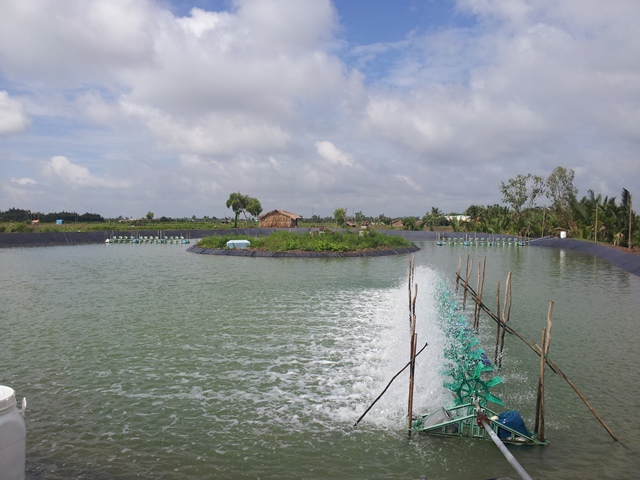 thời vụ thả tôm