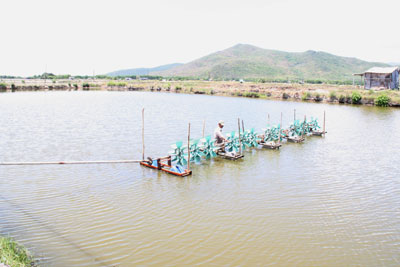 thu dọn quạt