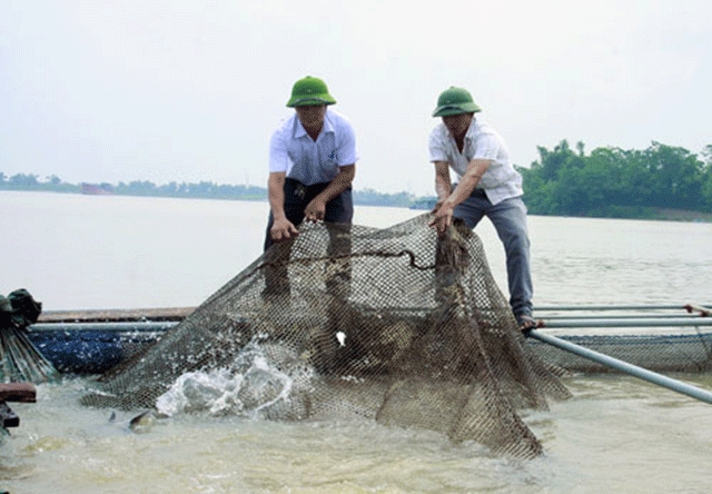 Huyện thuần nông sản xuất thủy sản an toàn