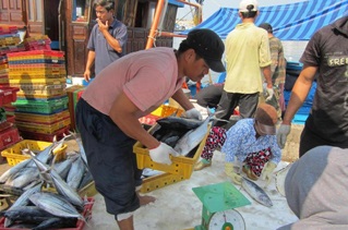chợ cá