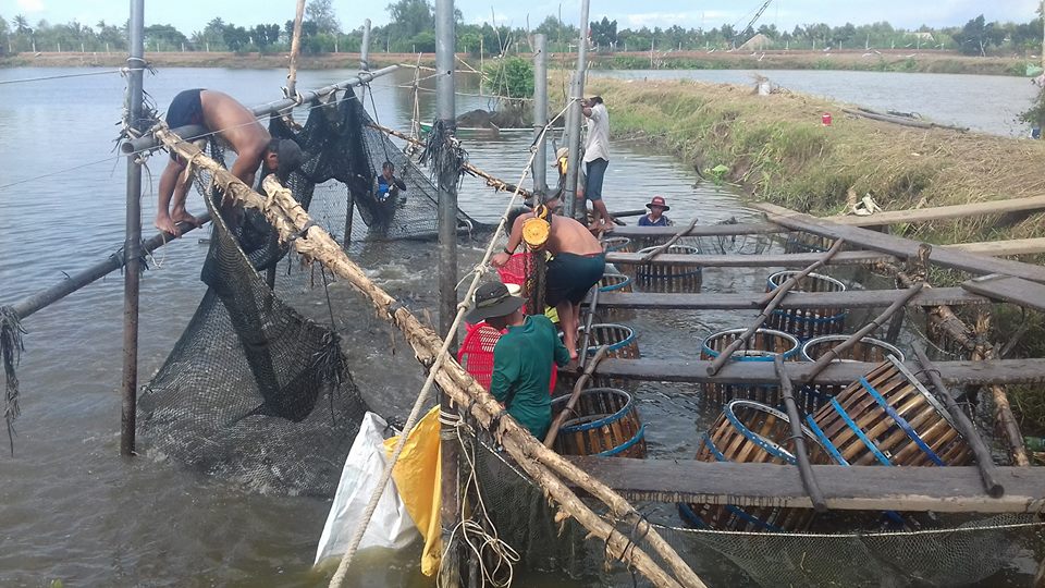 câu chuyện doanh nghiệp thủy sản