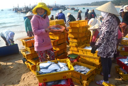 Ngư dân Bình Hải trúng đậm