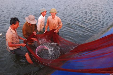 Khai thác thuỷ sản ở huyện Kim Sơn (Ninh Bình) Ảnh: Vũ Đức Phương.