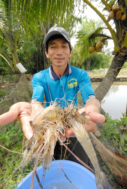 thu tỉa tôm càng