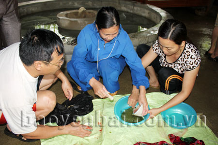 Cán bộ, kỹ sư đang làm phương pháp thụ tinh khô cho cá nheo.