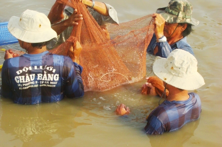 thu tôm sớm
