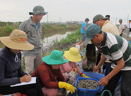 thu tôm thẻ thương phẩm