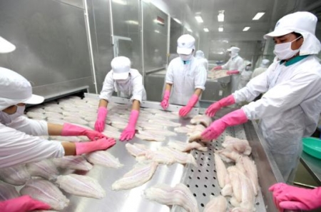 thủ tục xnk thủy sản