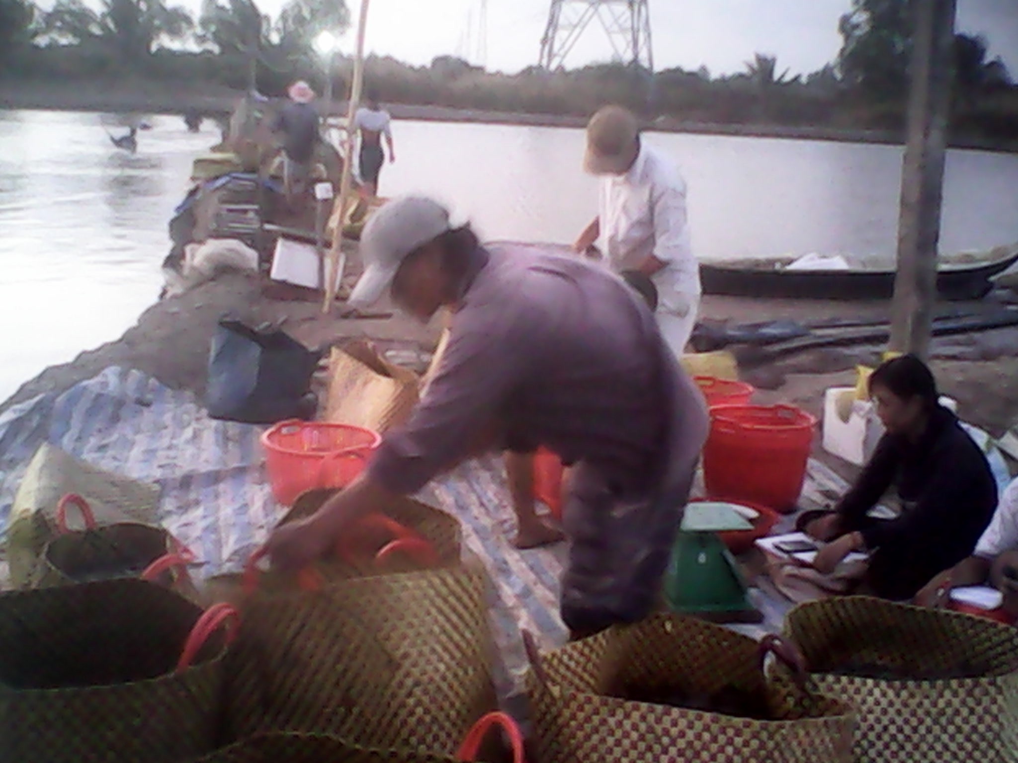 Hội thảo đầu bờ