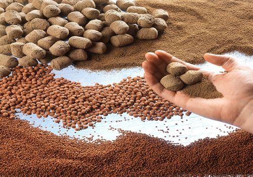 Kéo dài thời gian lưu hành sản phẩm thức ăn chăn nuôi, thủy sản