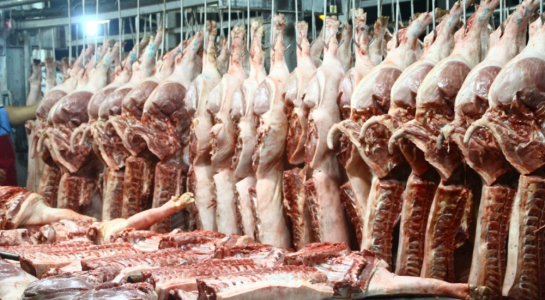 thực phẩm sạch